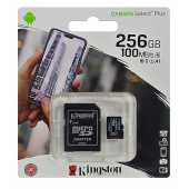 CARTE MICRO SD 256GB