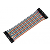 20 CM 1 PFEMELLE  FEMELLE STRIP 4 (2)