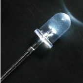 5034W2C-BUB-C (8649)