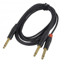 HIN-1S-2P-10 (2)