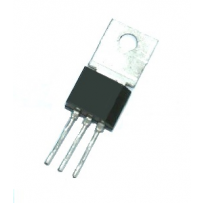 ECG78 (2)