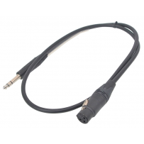 CXFS-3-BLACK SOLD