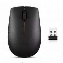 MICE-WLS-LEN-GX30K7902 (2)