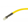LAMP-14