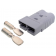 SB350A (2)