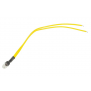 LAMP-24V (2)