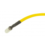 LAMP-14