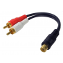AM-8115-B