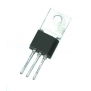 ECG78 (2)