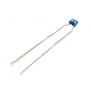 620PF 300V RADIAL MICA