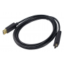 CAB-DP-HDMI-06FT (2)