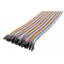 20 CM 1 PFEMELLE  FEMELLE STRIP 40 DUPON