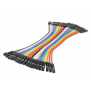 20 CM 1 PFEMELLE  FEMELLE STRIP 40 DUPON